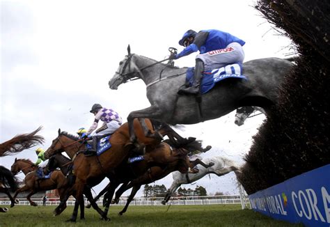 grand national 2022 runners william hill.
